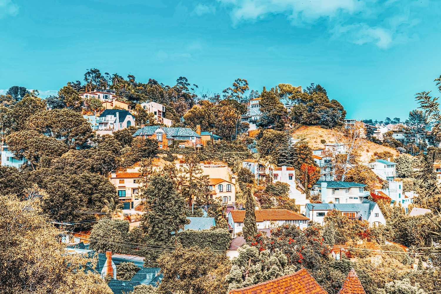 Invest In Hollywood Hills Real Estate